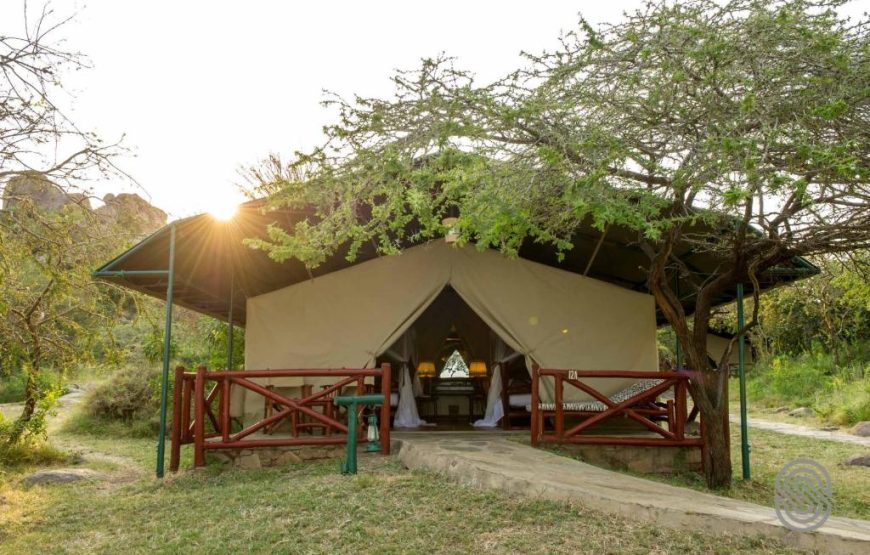 Mbuzi Mawe Tented Camp