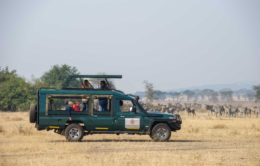 Kirawira Tented Camp