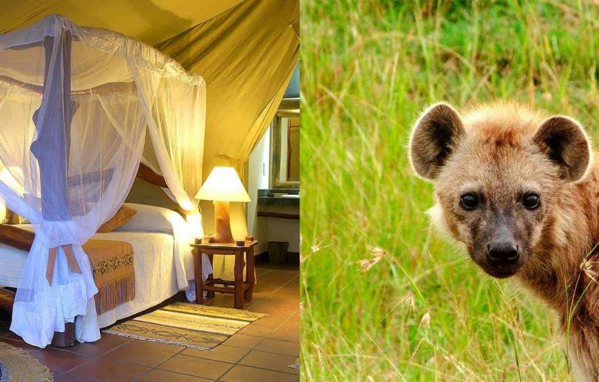 Mbuzi Mawe Tented Camp